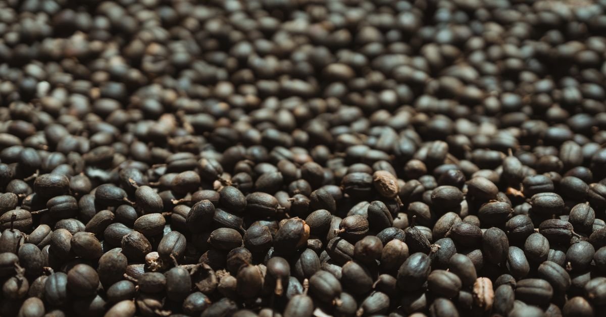 Grãos de café secos espalhados em terreiro de secagem