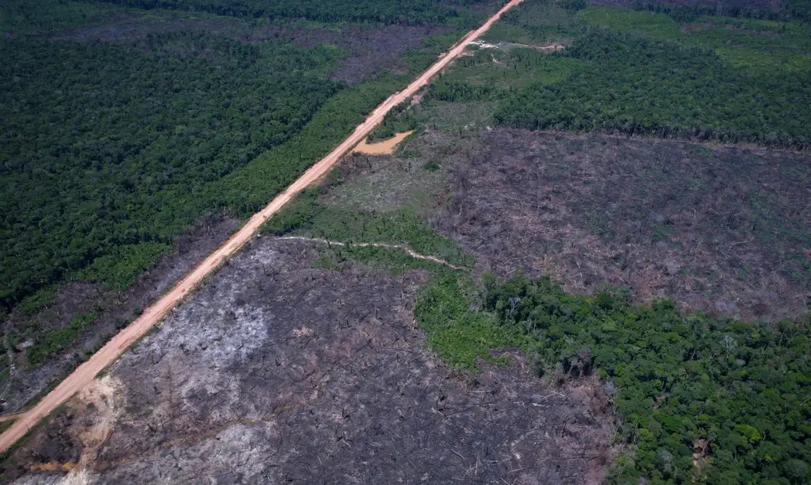 Vista aérea de área de floresta amazônica cortada por estrada de terra, com trecho desmatado ao lado da mata preservada