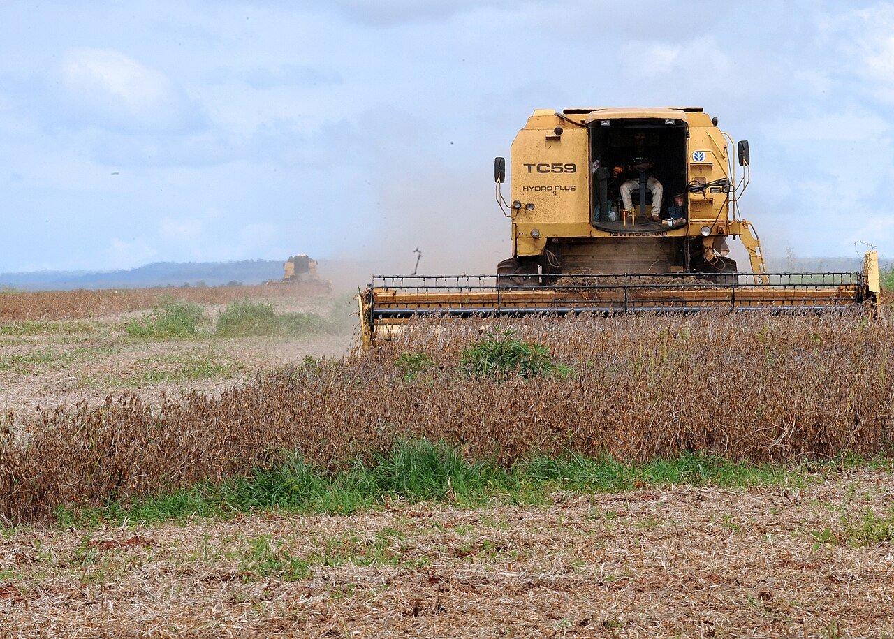 Colheitadeira amarela trabalha em lavoura de soja sob céu nublado