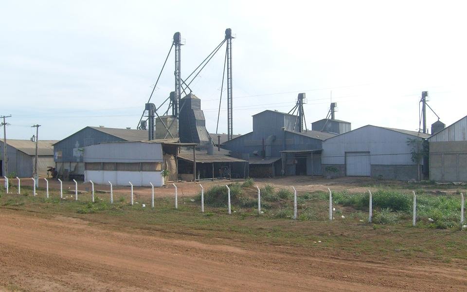 Unidade de beneficiamento e armazenagem de grãos com silos e secadores em área rural brasileira
