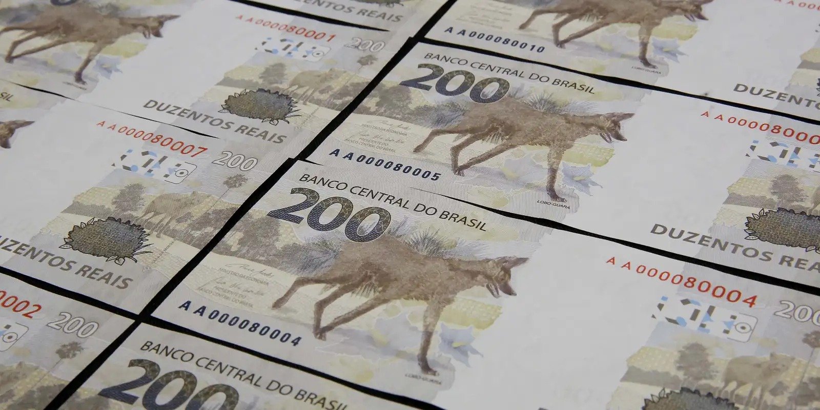 Folhas de cédulas de duzentos reais com a imagem do lobo-guará