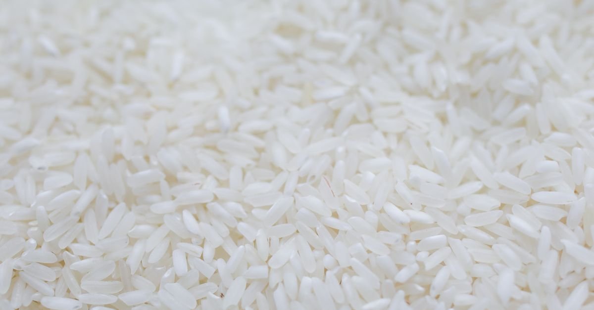 Graos de arroz branco cru vistos de perto ocupando todo o quadro