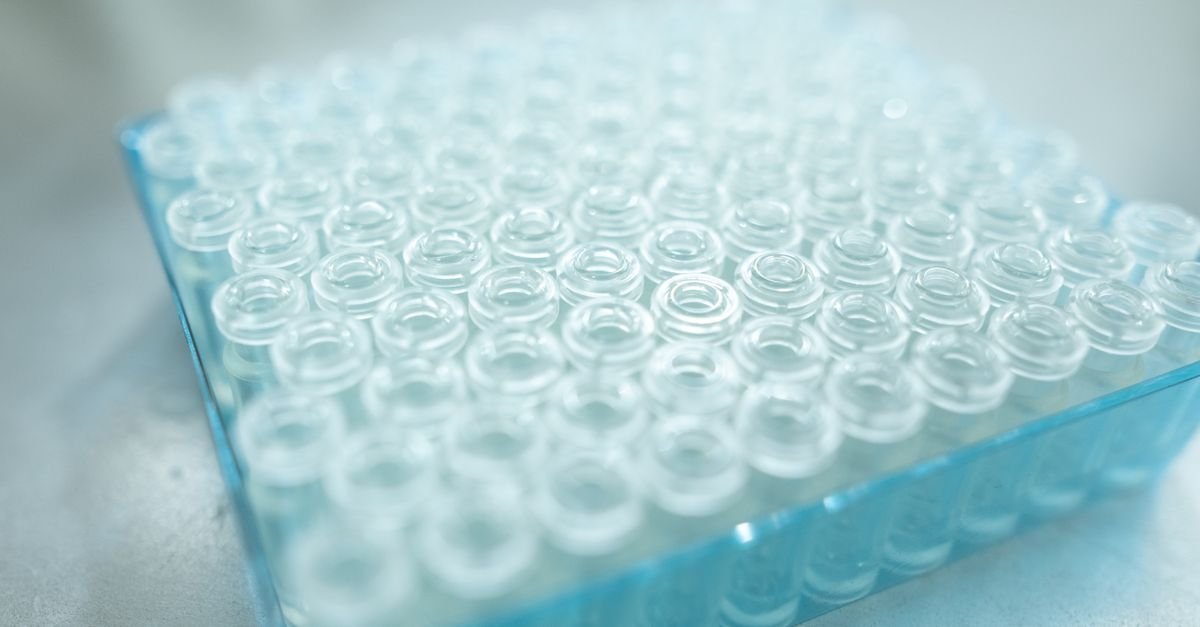 Frascos de vidro transparentes organizados em bandeja azul de laboratório
