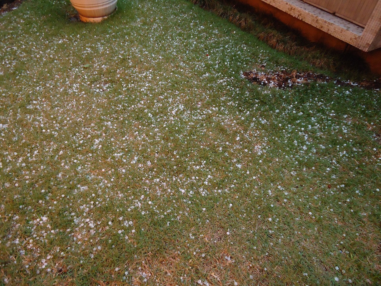Pedras de granizo espalhadas sobre gramado após temporal