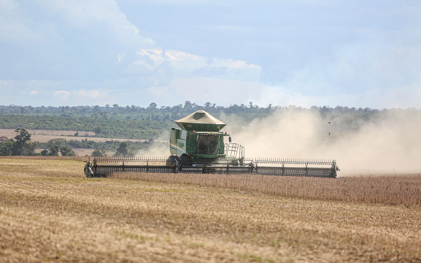 Colheitadeira trabalha em lavoura de soja no Brasil