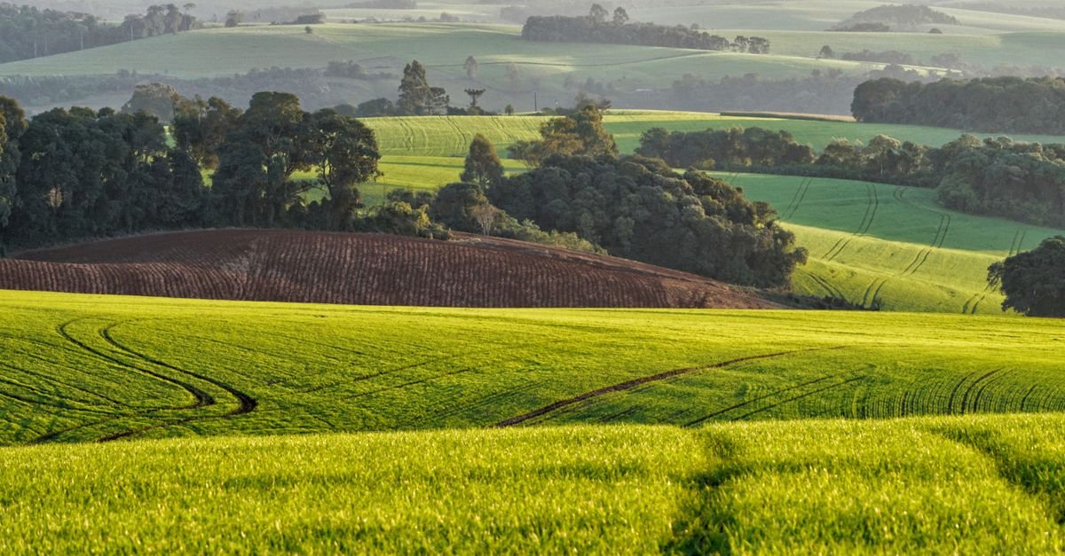 Vista de lavoura e área agrícola em relevo ondulado no interior do Paraná