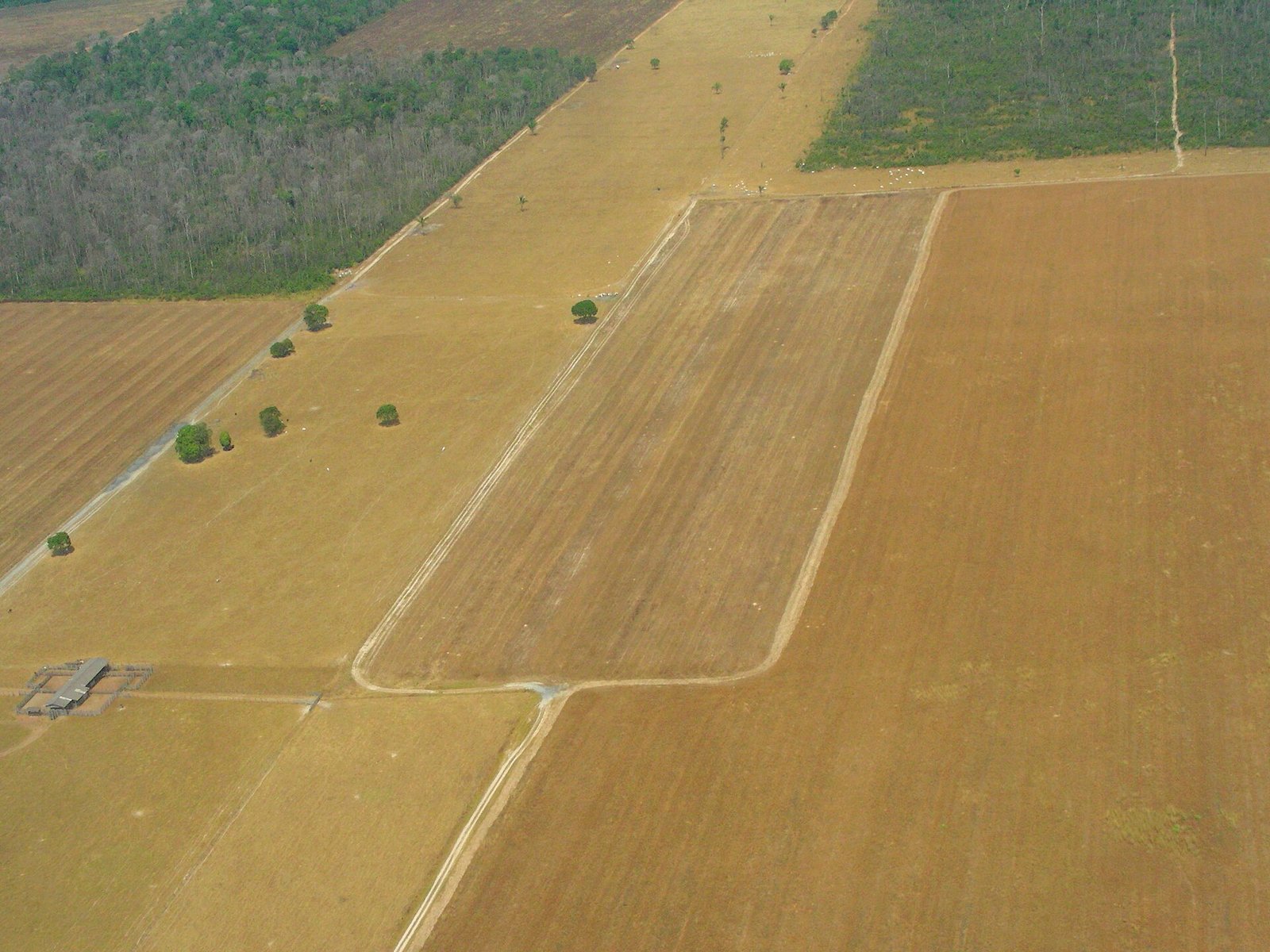 Vista aérea de lavoura e área de plantio em Mato Grosso