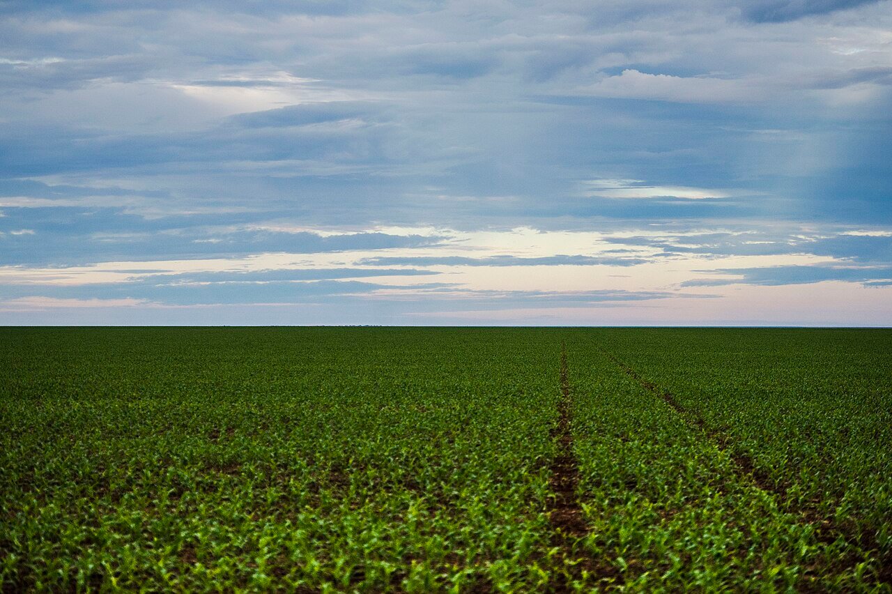 Lavoura de soja em estágio inicial de desenvolvimento em área plana de Mato Grosso