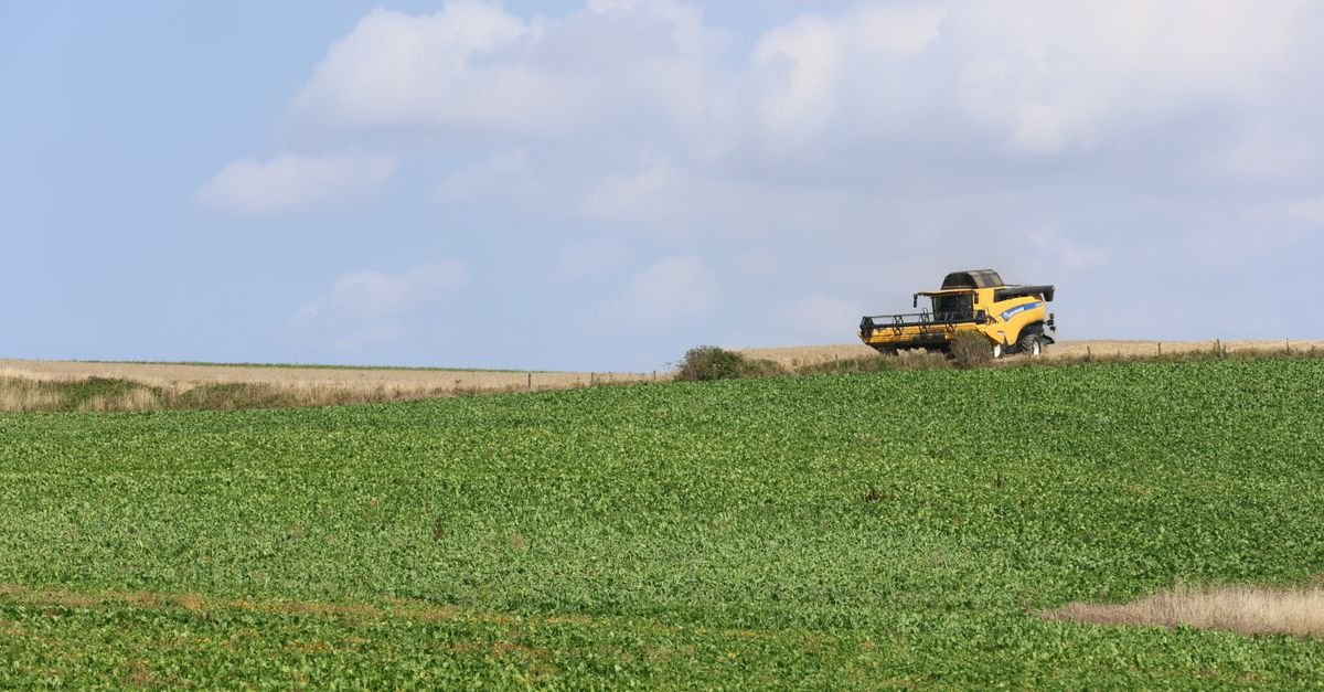 Colheitadeira amarela trabalhando na borda de uma lavoura verde sob céu azul