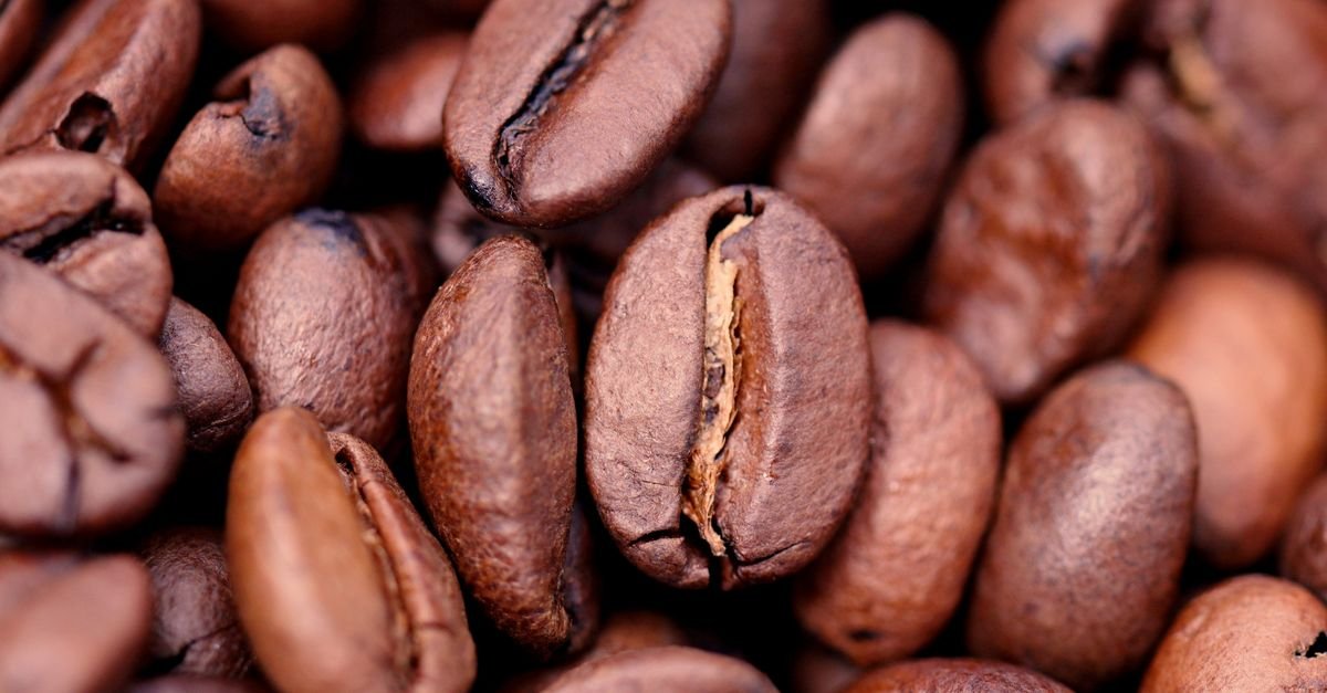 Grãos de café torrado em macro