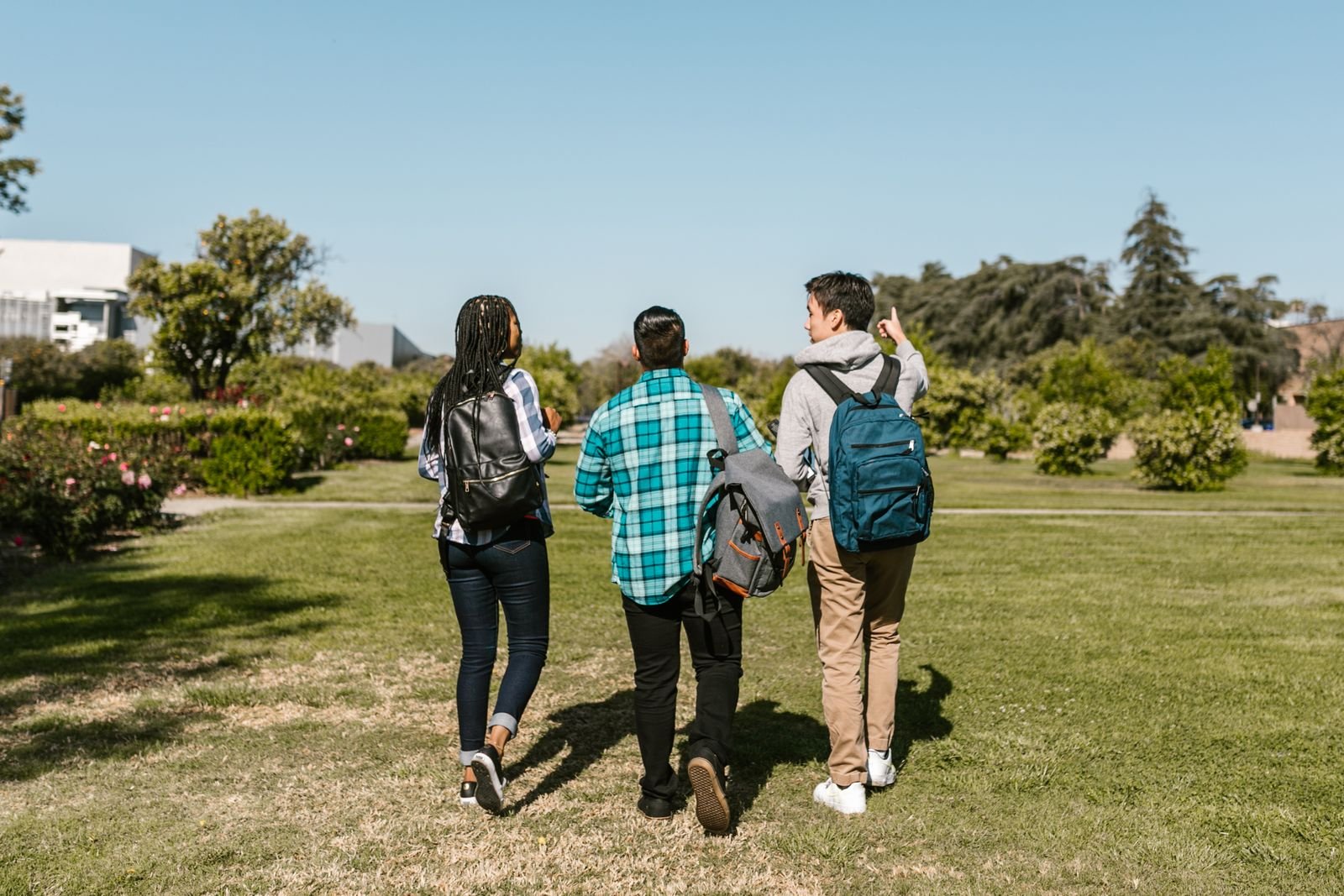 Três estudantes de costas, com mochilas, caminham juntos em um gramado de campus