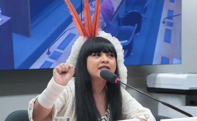 Deputada Célia Xakriabá fala ao microfone durante reunião de comissão na Câmara