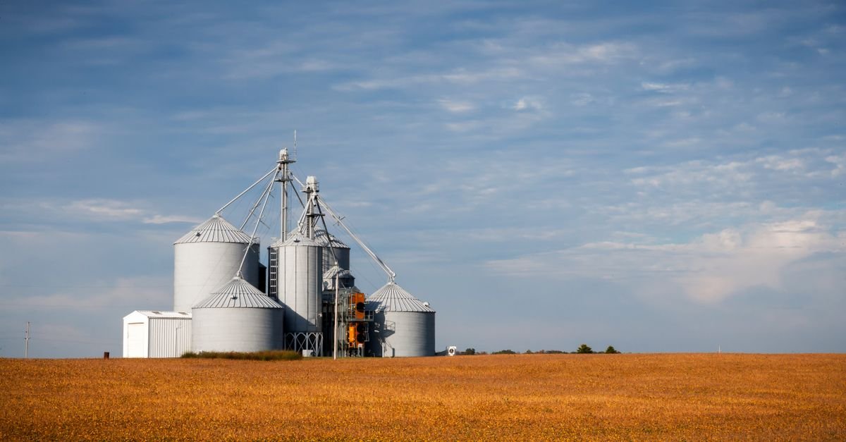 Silos de armazenamento de graos em lavoura dourada sob ceu azul