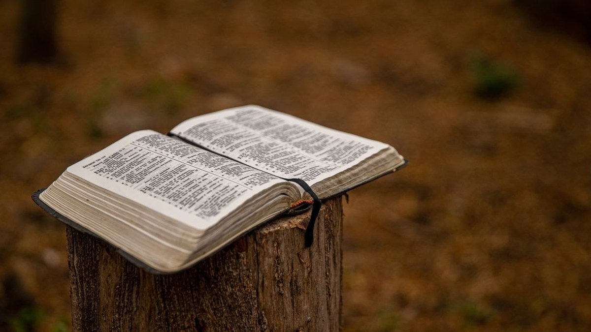Bíblia aberta apoiada em tronco de árvore