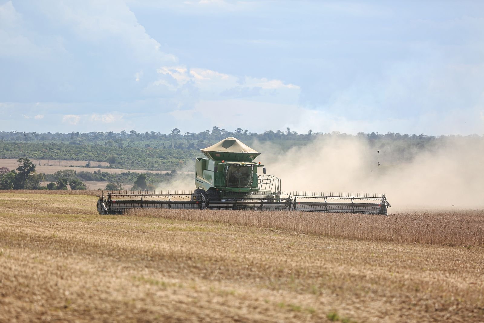 Colheitadeira trabalha em lavoura de soja no Brasil