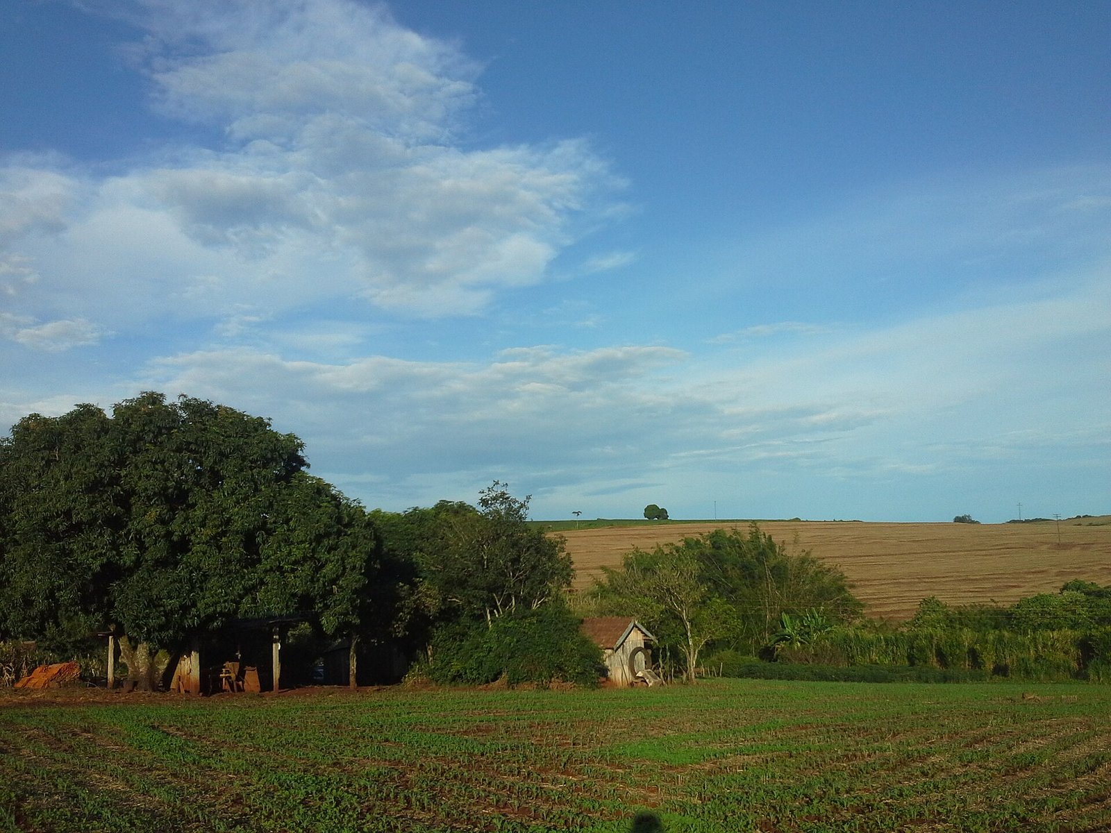 Lavoura e área de plantio em propriedade rural no interior do Brasil